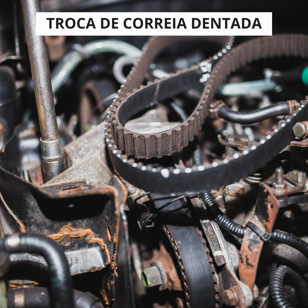 Instagram story reciclagem de óleo moderno verde e cinza (500 x 500 px) (1000 x 1000 px) (3)